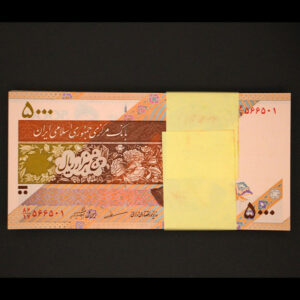 بسته یک تا صد اسکناس پنج هزار ریال مظاهری - شیبانی با شماره تکرار