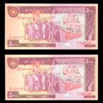 جفت جایگرین کمیاب اسکناس پنج هزار ریال تظاهراتی کسر 99/9