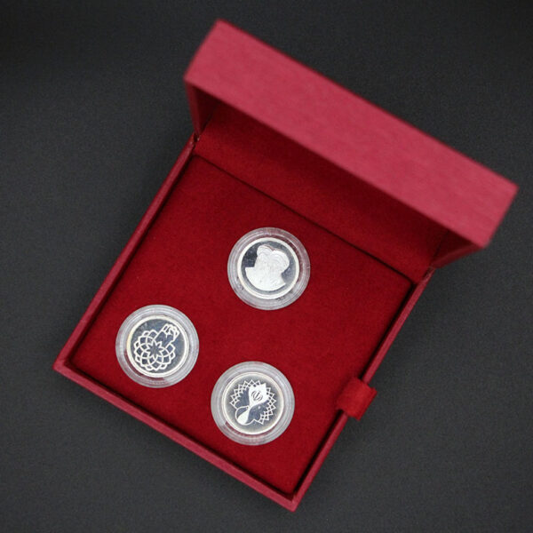 مدال یادبود سی امین سالگرد انقلاب اسلامی با جعبه فابریک و شناسنامه - Image 5