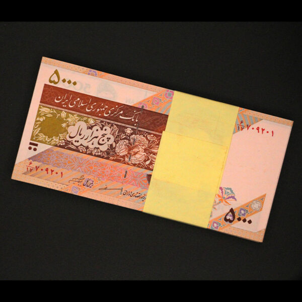 بسته یک تا صد اسکناس پنج هزار ریال - Image 1